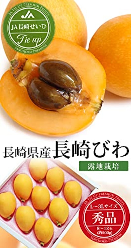 長崎びわ 露地栽培 2