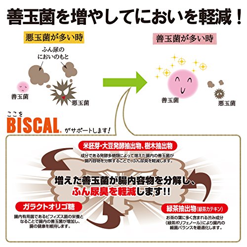 ビスカルシニア 3