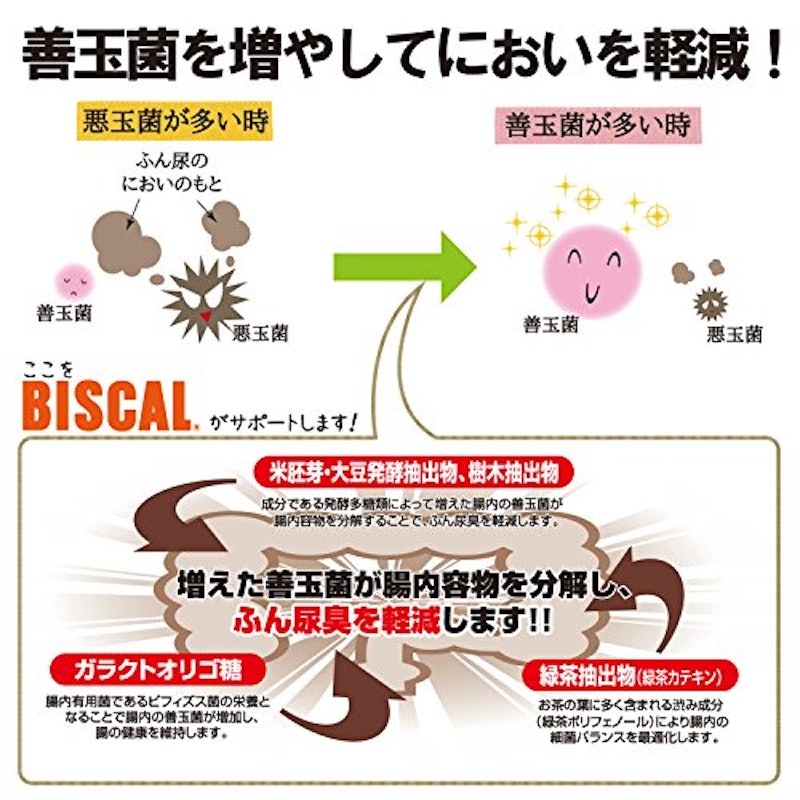 ビスカルシニア 3
