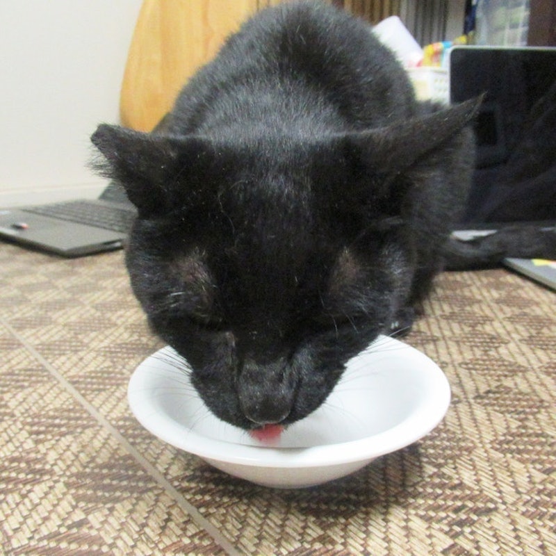 シーバ とろ~りメルティ まぐろ味セレクション 7