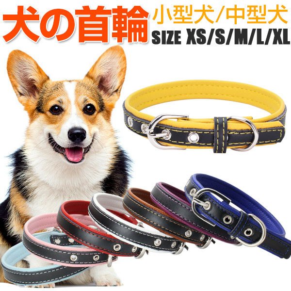 21年 チワワ用首輪のおすすめ人気ランキング選 Mybest