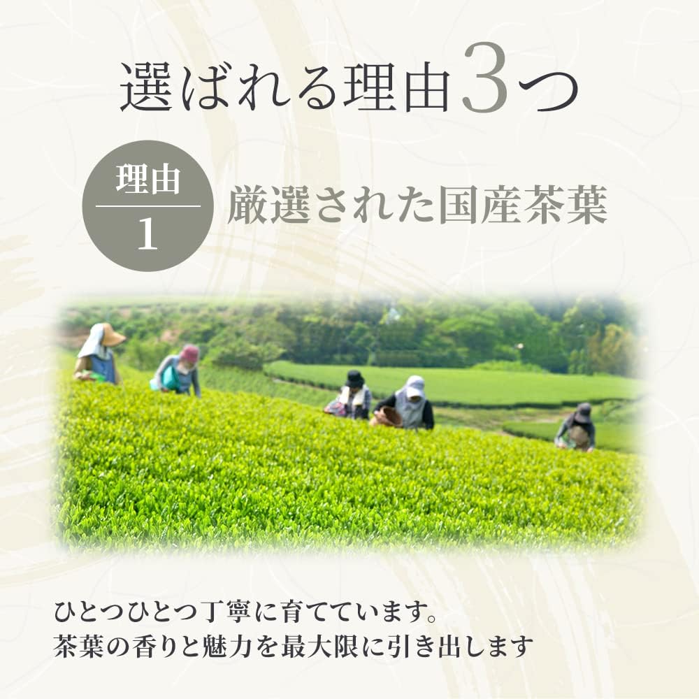  煎茶 狭山銘茶 ギフト 4