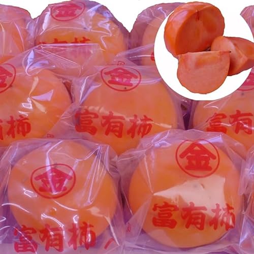 太田丸金 富有柿 1