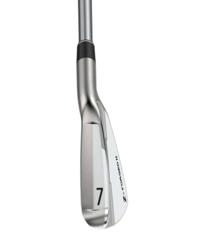 Z-FORGEDⅡ アイアン 6本セット 5