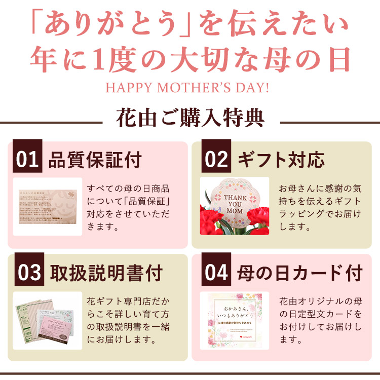 自由に選べる花&スイーツ 4