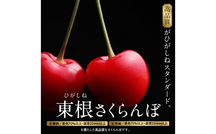 GI 東根さくらんぼ 佐藤錦 1