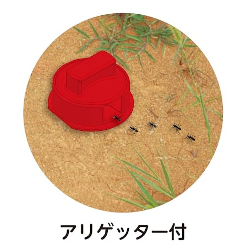 アリさん観察セット コンパクトタイプ 3
