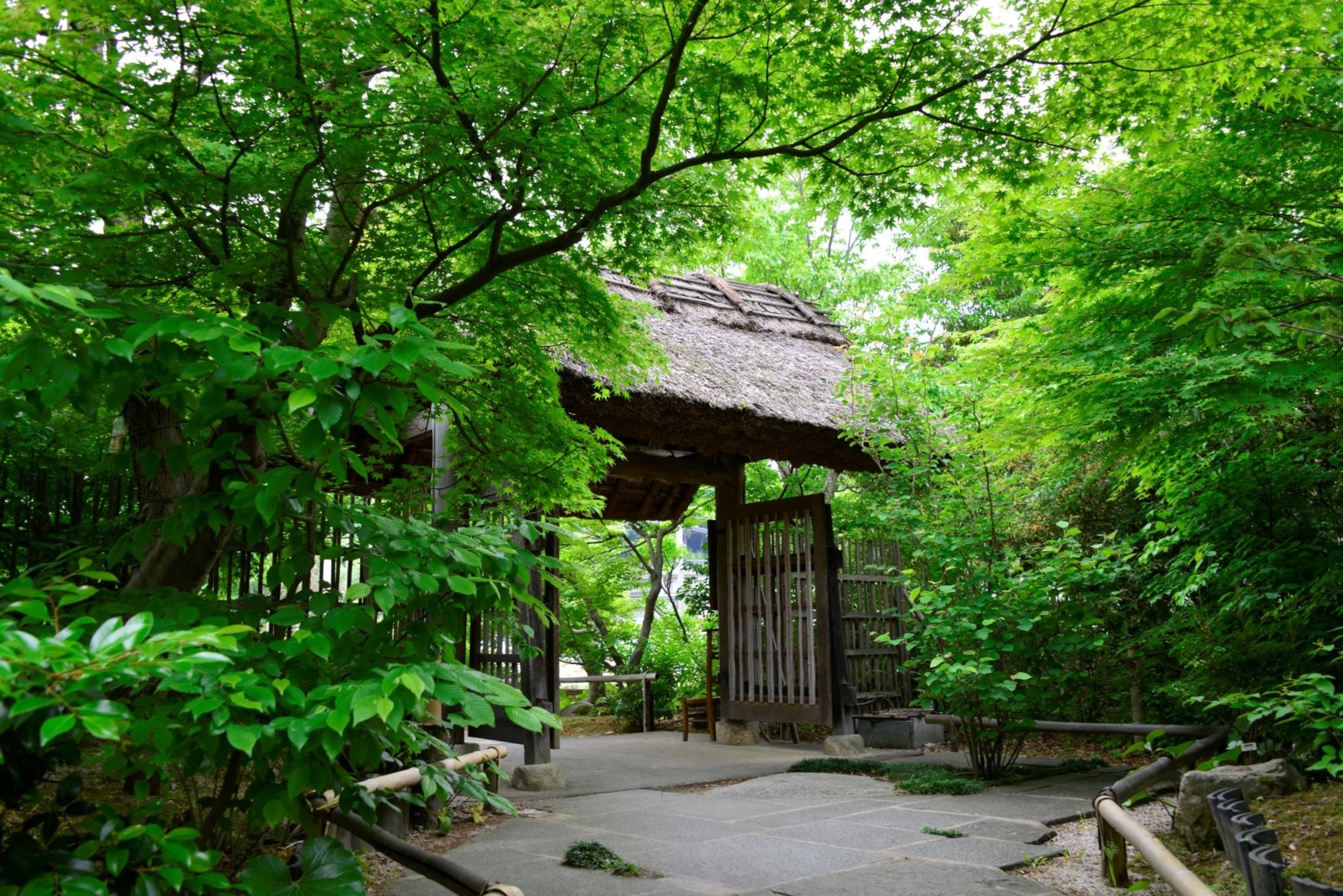 湯宿 草菴 3