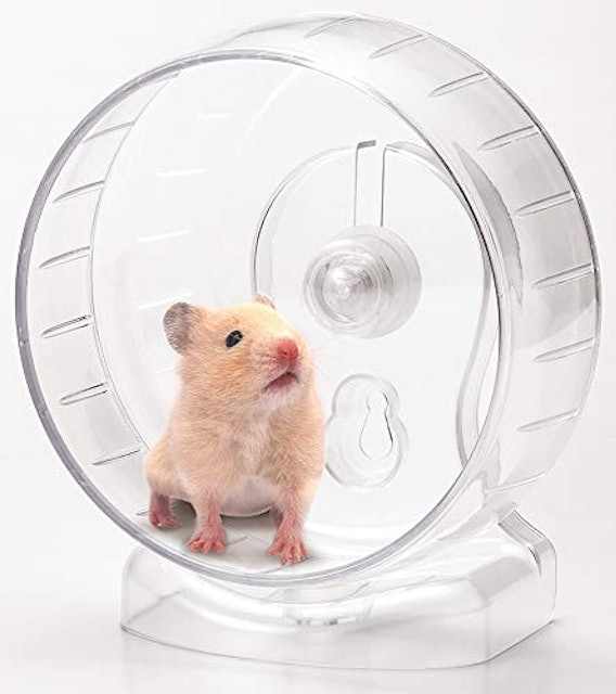 ハムスター用回し車のおすすめ人気ランキング9選 Mybest ハムスター用回し車のおすすめ人気ランキング9選 Mybest