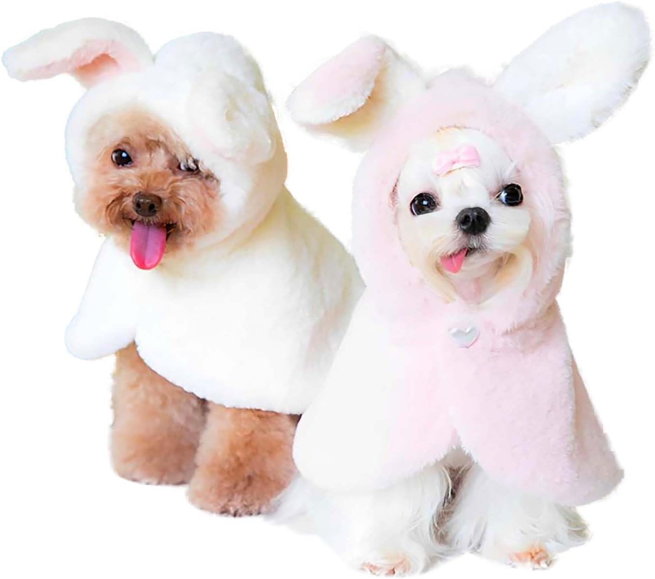 犬用ポンチョ 1