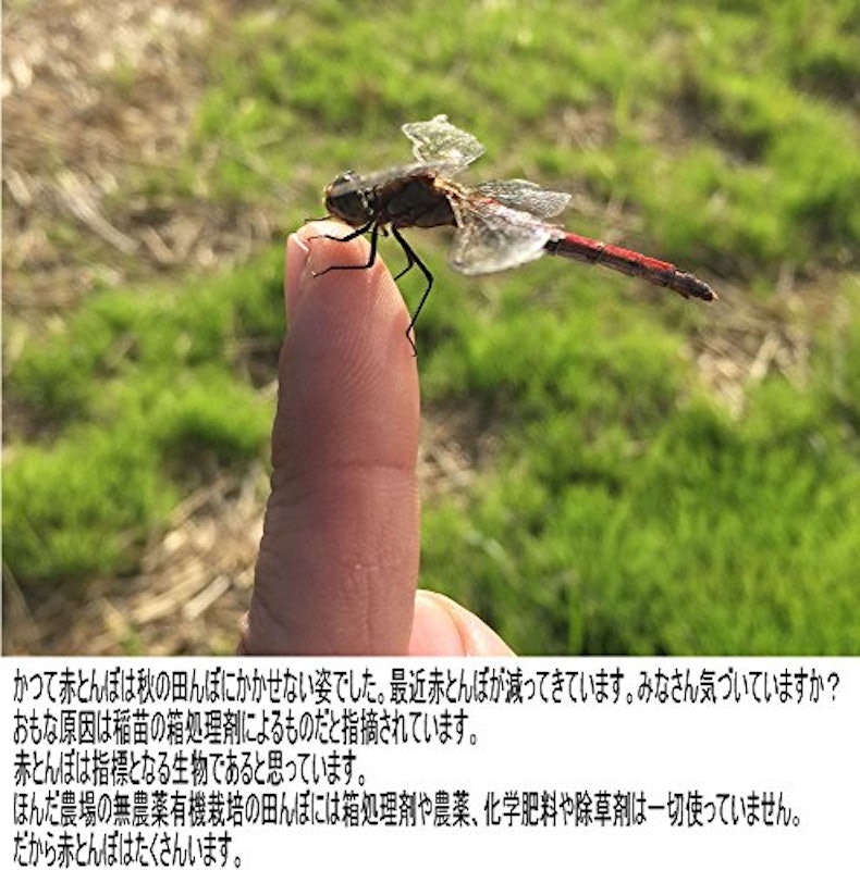 EM農法有機栽培米 土の詩 9