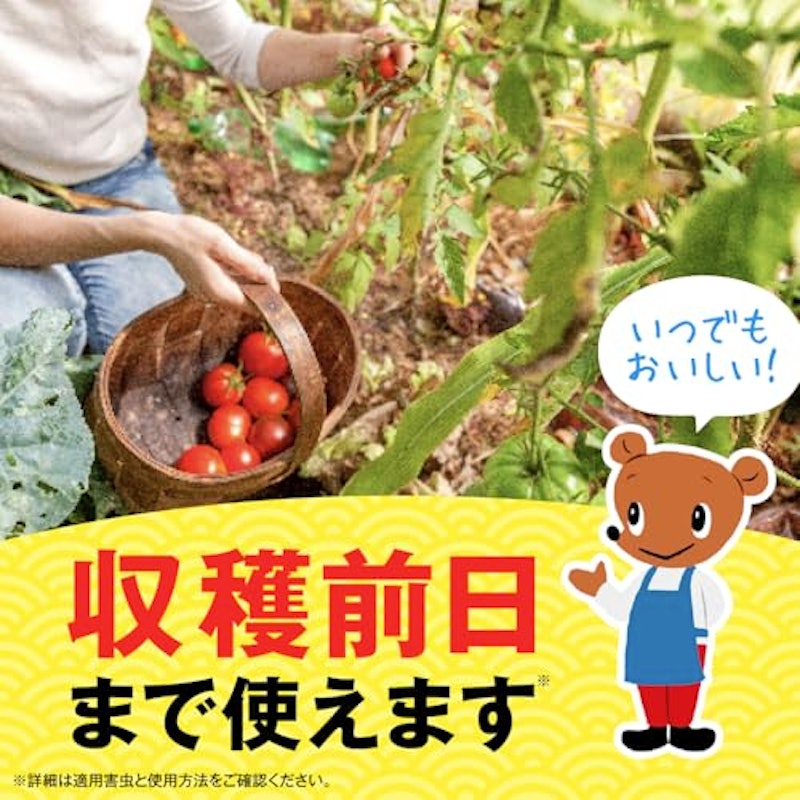 いろいろな植物つよし 6