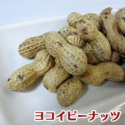 殻付き落花生 2
