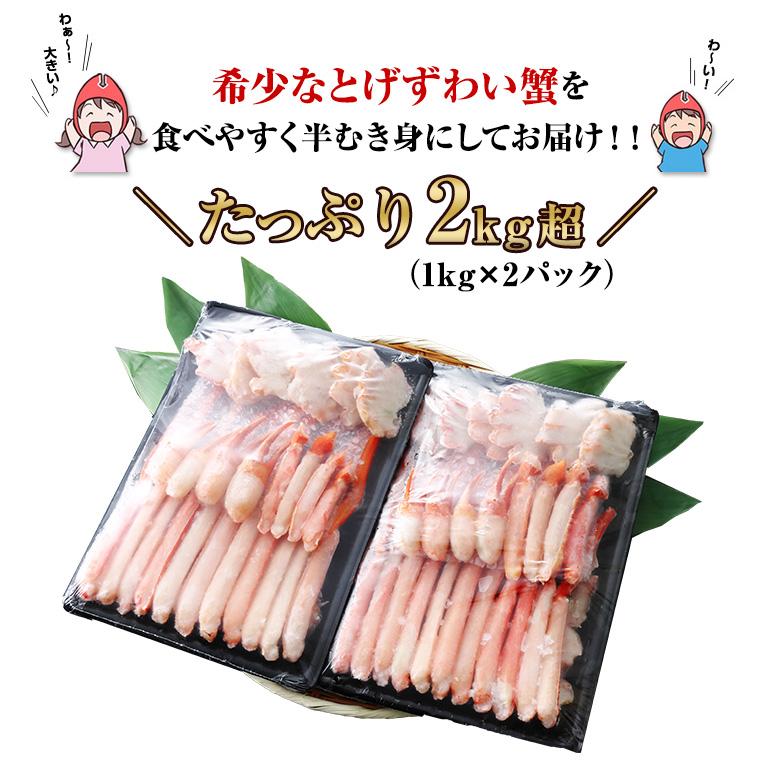 生とげずわい半むき身満足セット 2