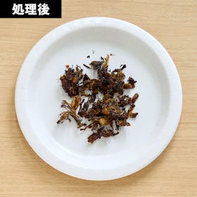 パーフェクトレード NAGUALEP 家庭用生ごみ処理機 NA-2を検証 パーフェクトレード NAGUALEP 家庭用生ごみ処理機 NA-2を検証