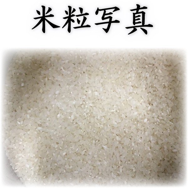 熊本県産 ヒノヒカリ 3