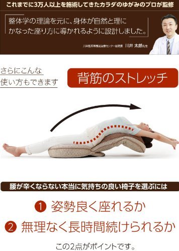 背筋がGUUUN美姿勢座椅子 エグゼボート 6