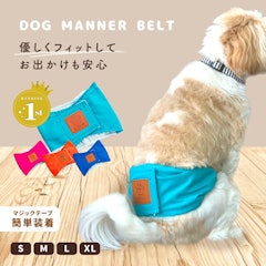 21年 犬用オムツのおすすめ人気ランキング10選 Mybest 21年 犬用オムツのおすすめ人気ランキング10選 Mybest