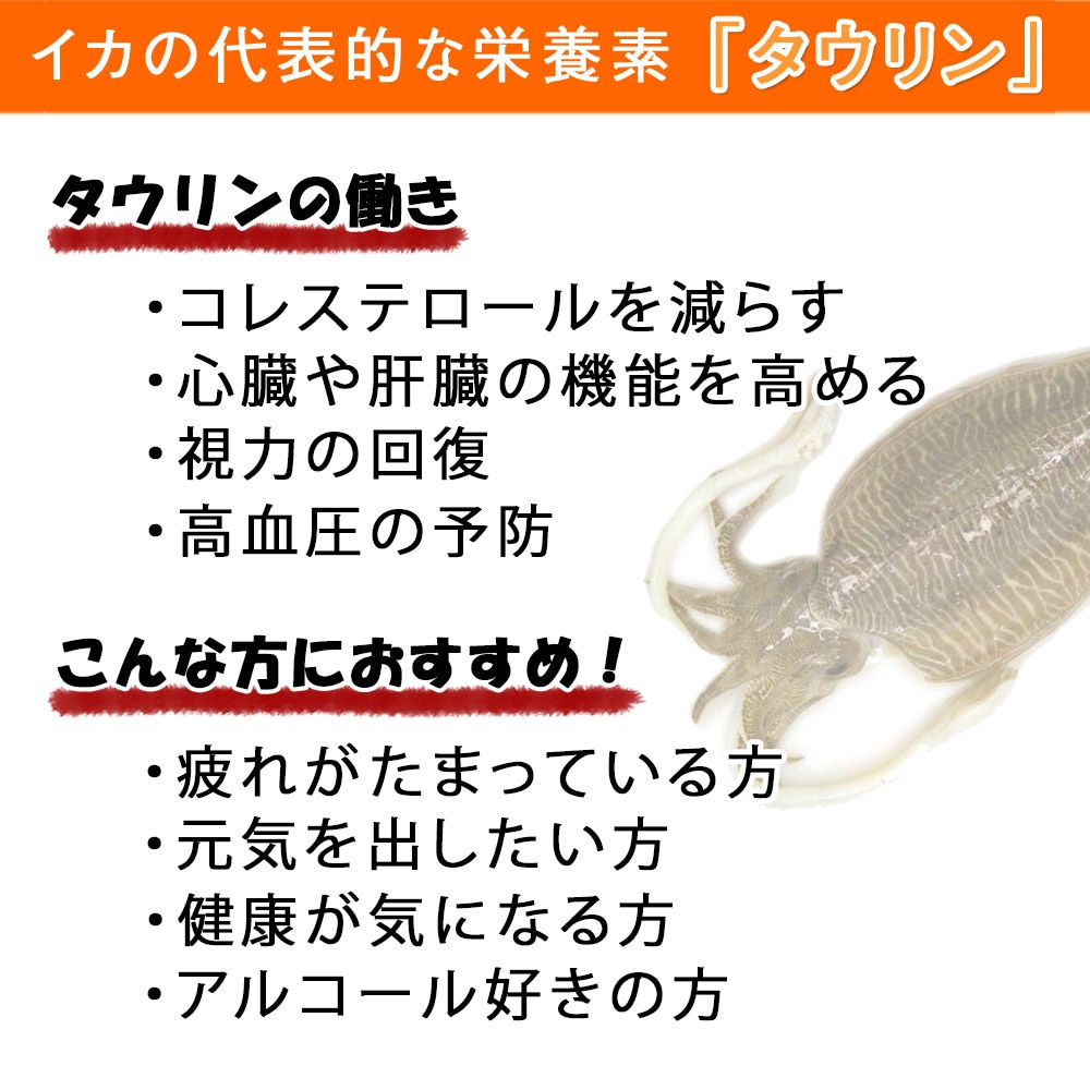 紋甲イカ刺身 7