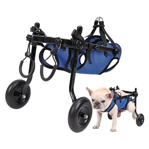 2024年】犬用車椅子のおすすめ人気ランキング28選 | mybest