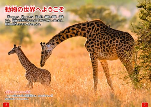 動物のクイズ図鑑 2