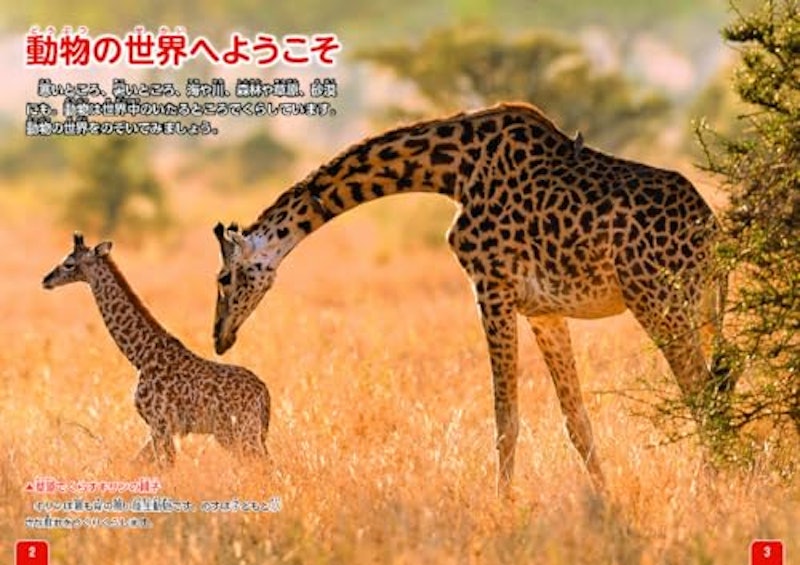 動物のクイズ図鑑 2