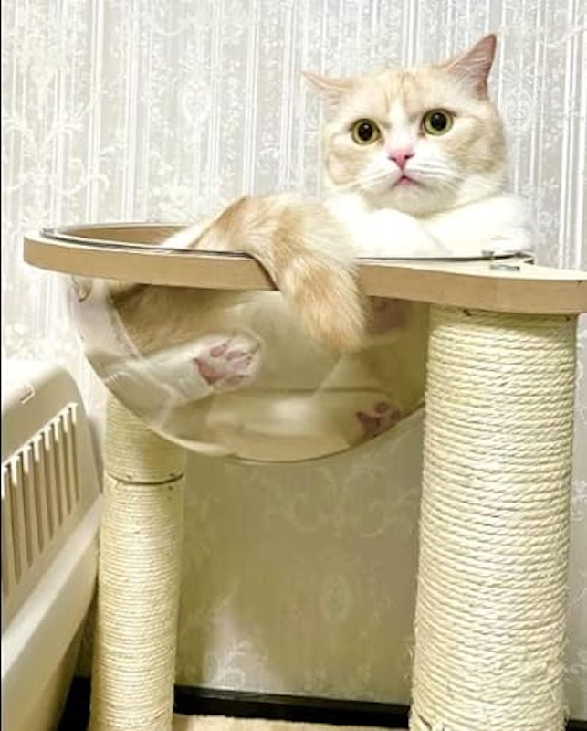 猫用スクラッチポスト 4