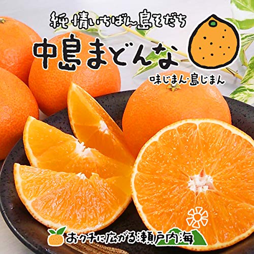 中島まどんな 1