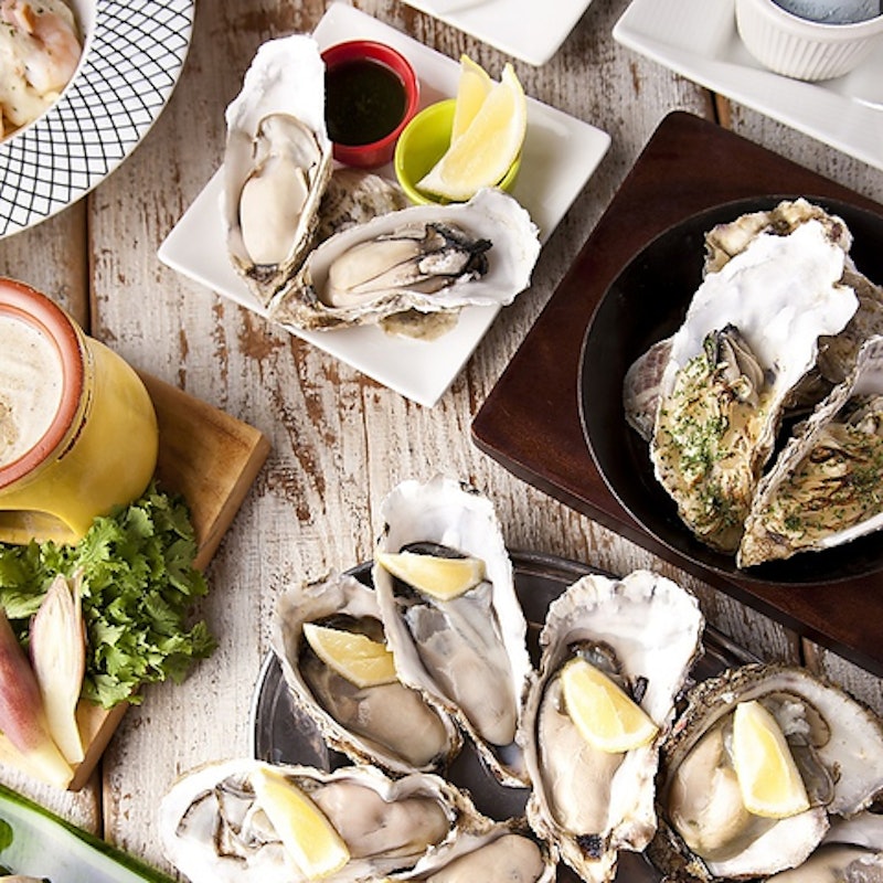 MICHI FISH&OYSTER 3