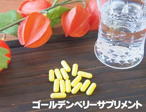 ゴールデンベリーサプリ 30粒  3