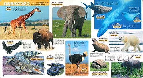 21年 動物図鑑のおすすめ人気ランキング10選 Mybest