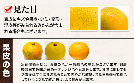 訳あり くまもと小玉みかん 5