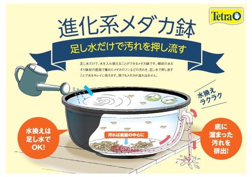 じょうろでキレイメダカ鉢 6