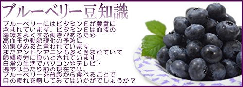 冷凍ブルーベリー 5