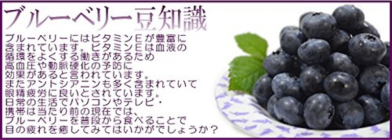 冷凍ブルーベリー 5