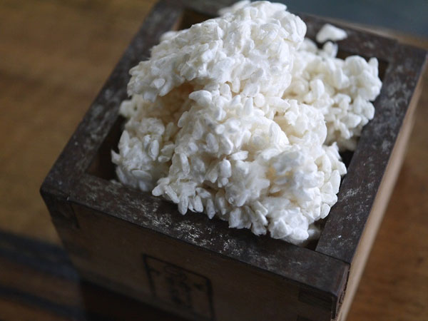 米麹 生麹 3