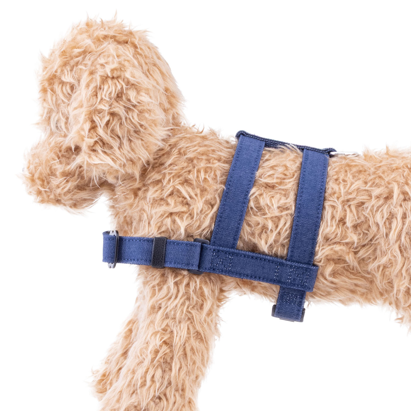 犬用ハーネス 5