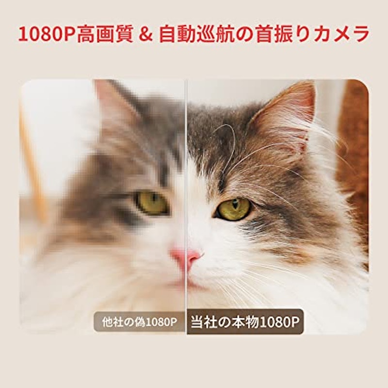見守りカメラ+開閉センサー 3