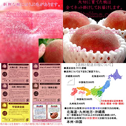 山梨県産桃 6