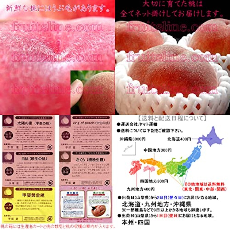 山梨県産桃 6