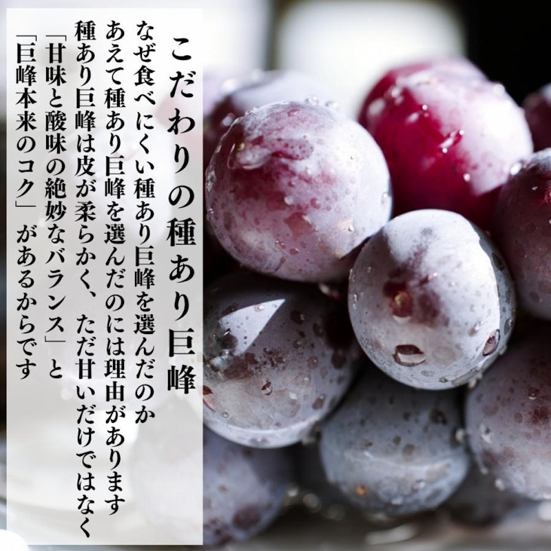 冷凍 種あり巨峰 2