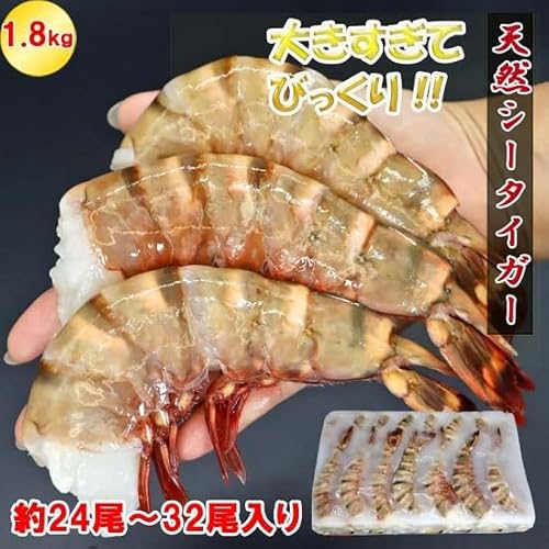 天然シータイガー 4