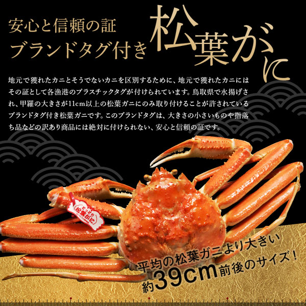 鳥取県産 贈答用 松葉ガニ 5