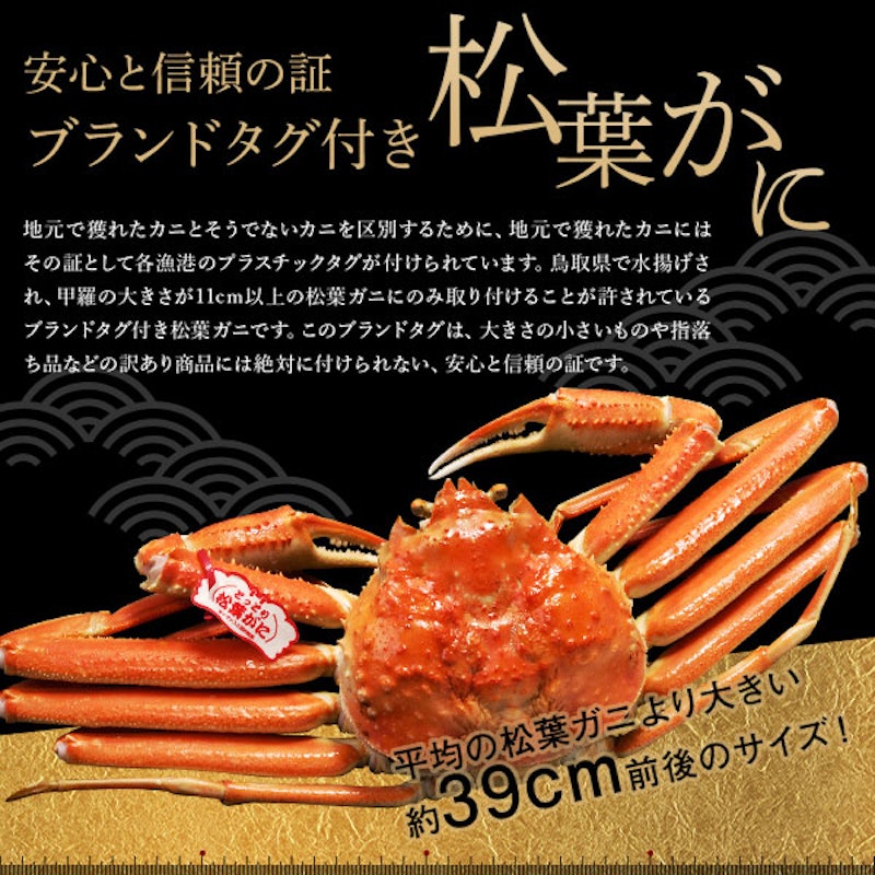 鳥取県産 贈答用 松葉ガニ 5