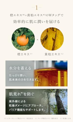 N organic Basic バランシング ローション 3