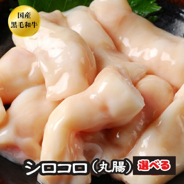 選べる ホルモン（丸腸） 1