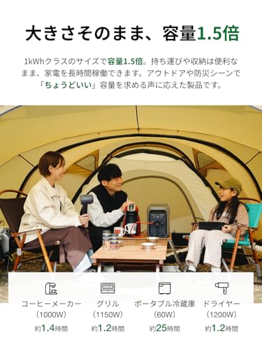 DELTA 3 1500 + 125W 両面ソーラーパネル セット 3