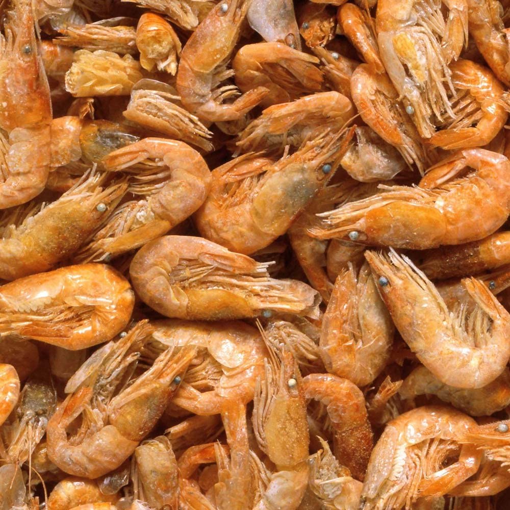 22年 亀の餌のおすすめ人気ランキング選 Mybest