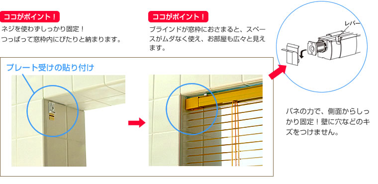 シルキーアクア ノンビス RDS 3