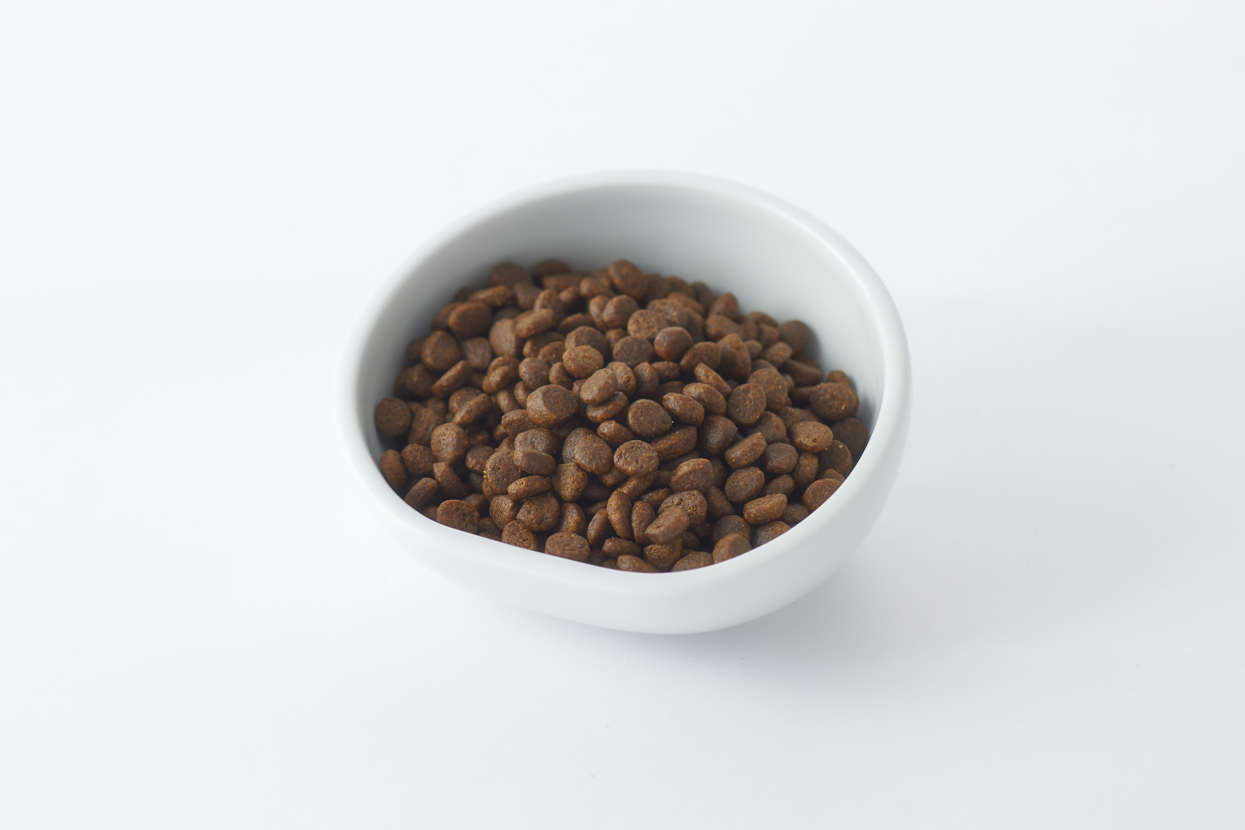 カナガンキャットフードをレビュー！クチコミ・評判をもとに徹底検証